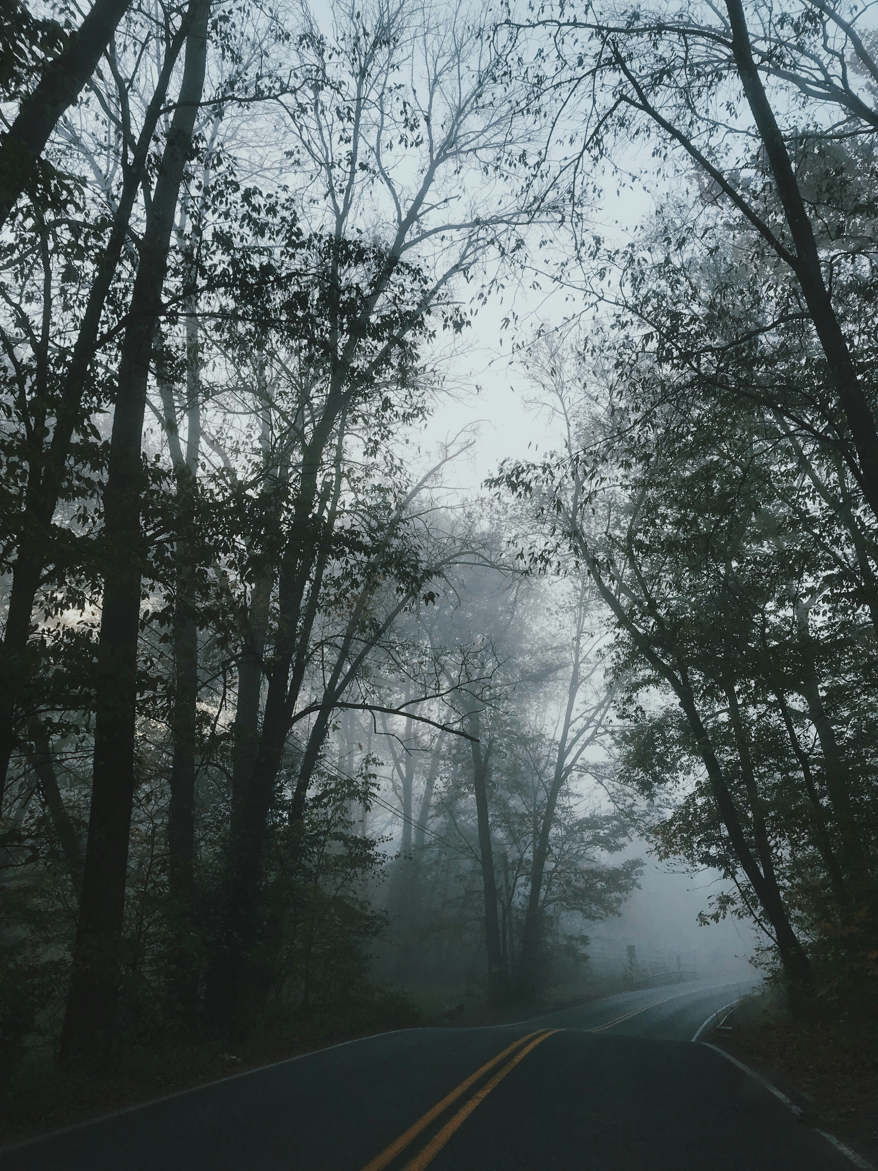 Photo by jordankgraff