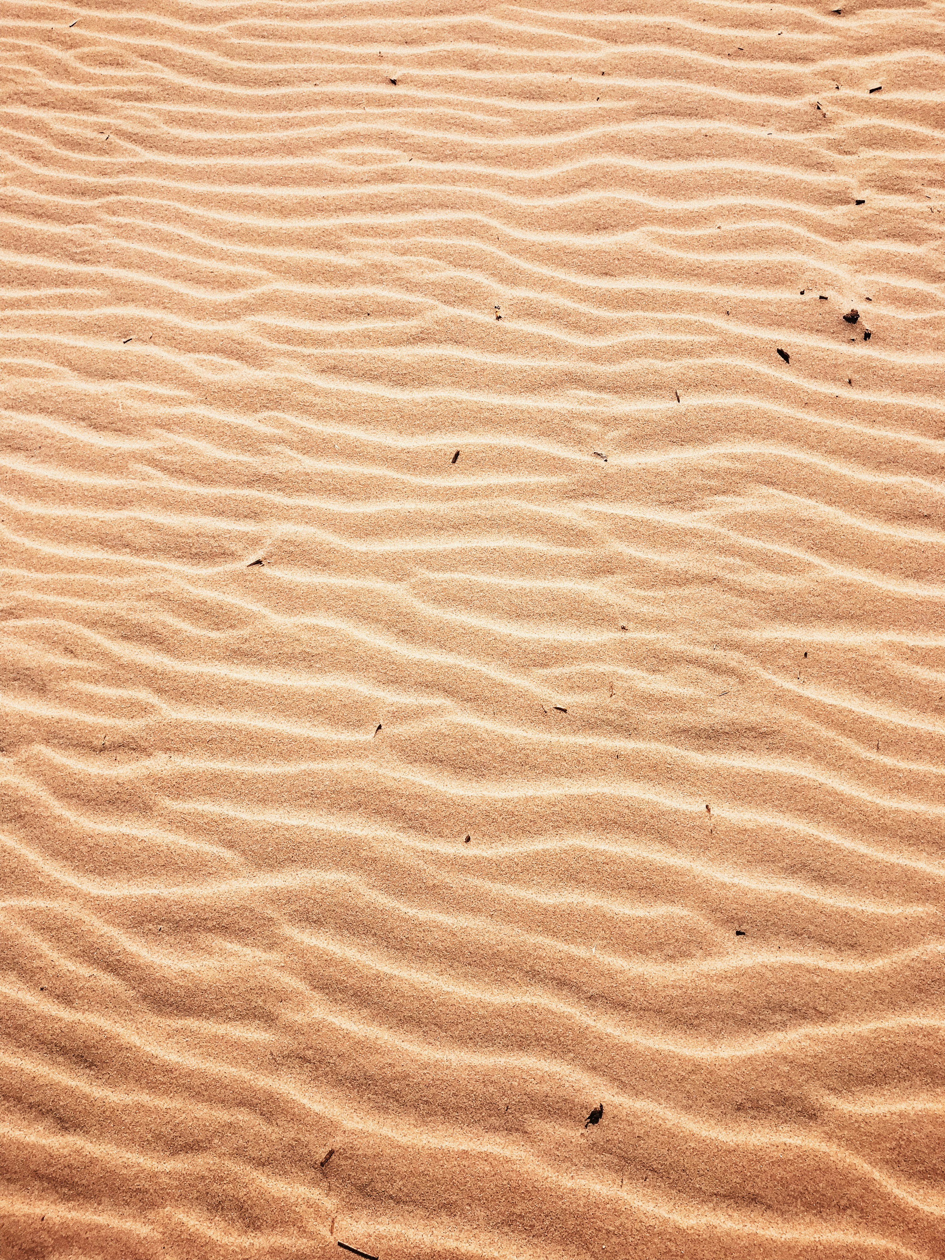 Photo by jordankgraff