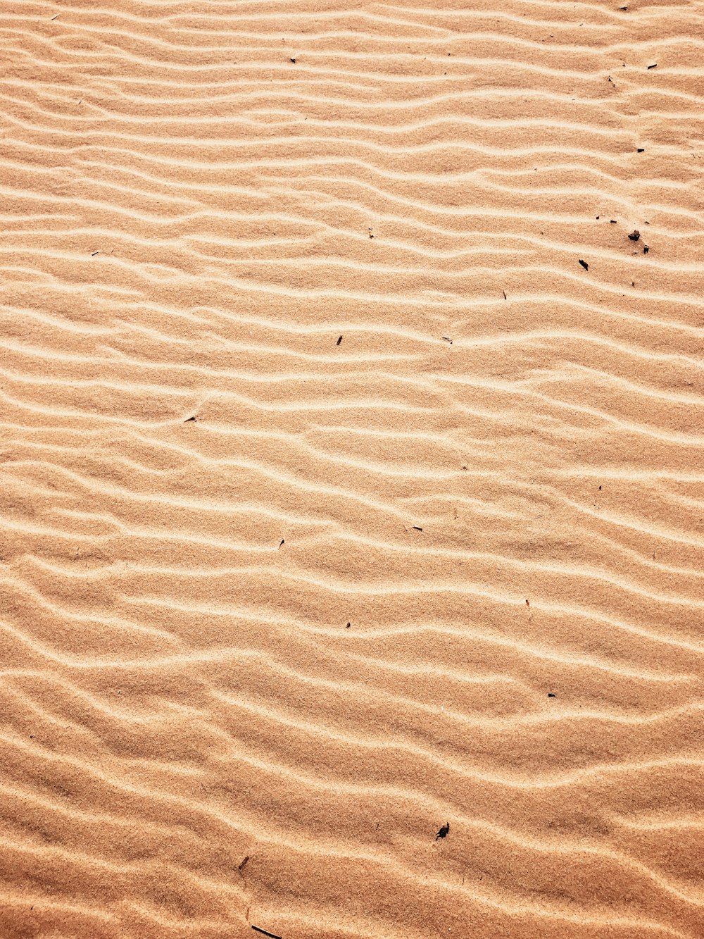 brown sand