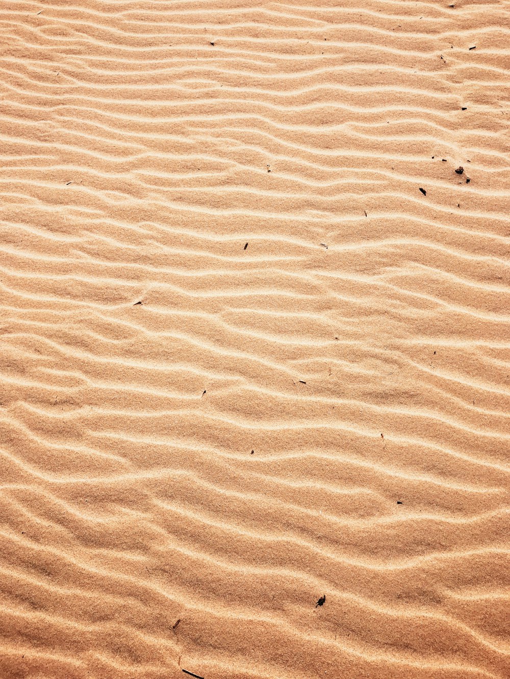 sabbia marrone