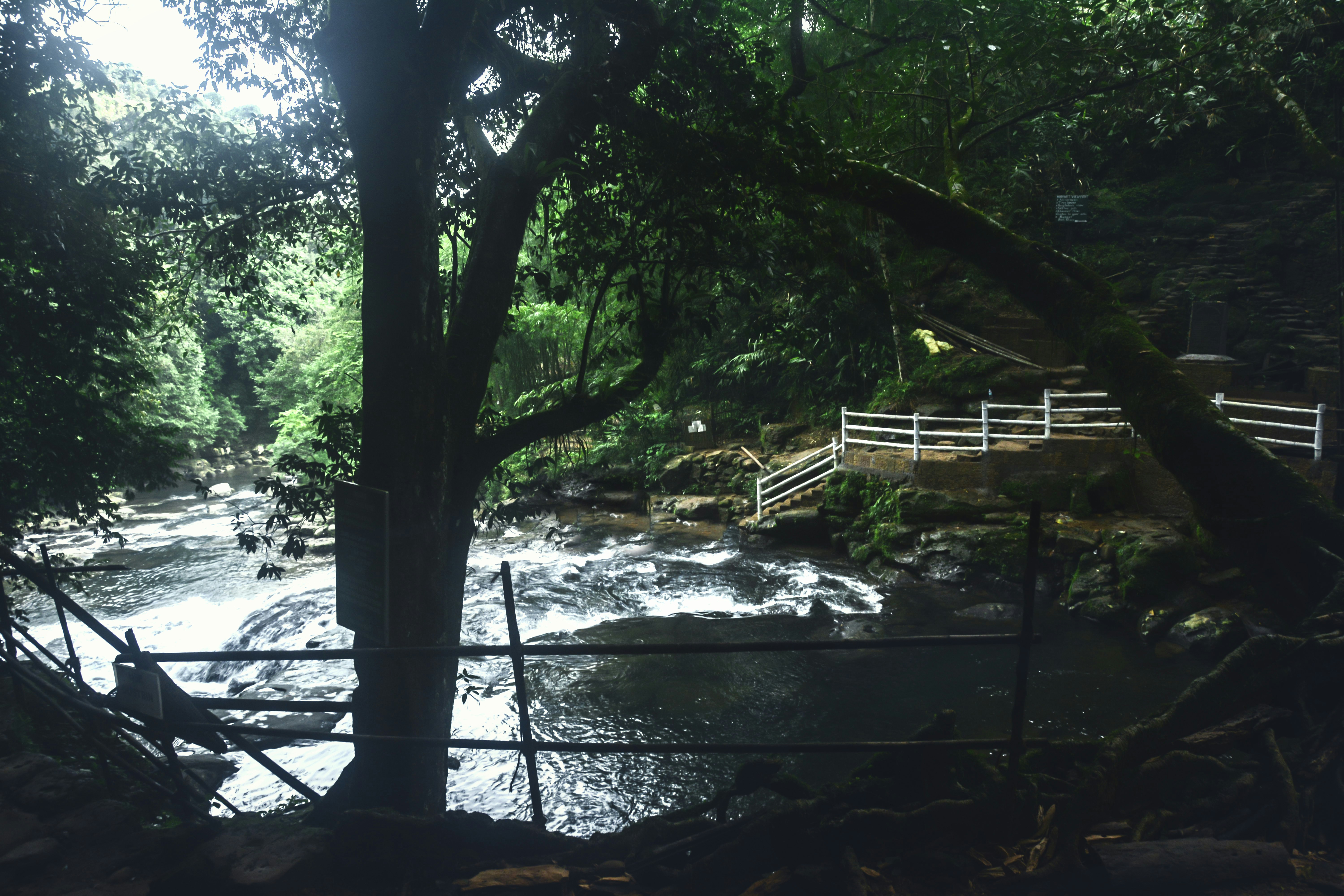 body of water and land with railing and trees
