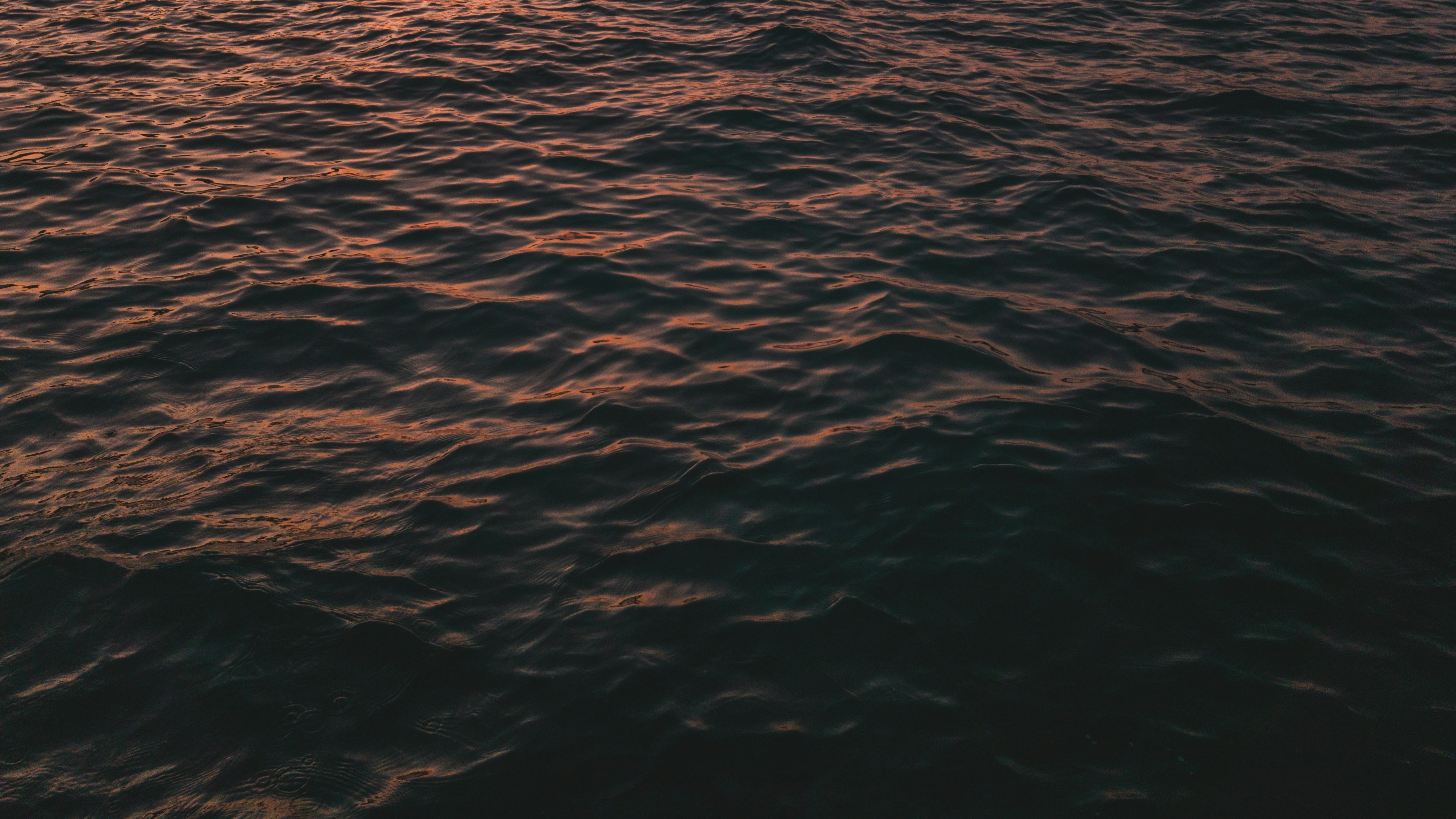 Photo by synesthe2ia