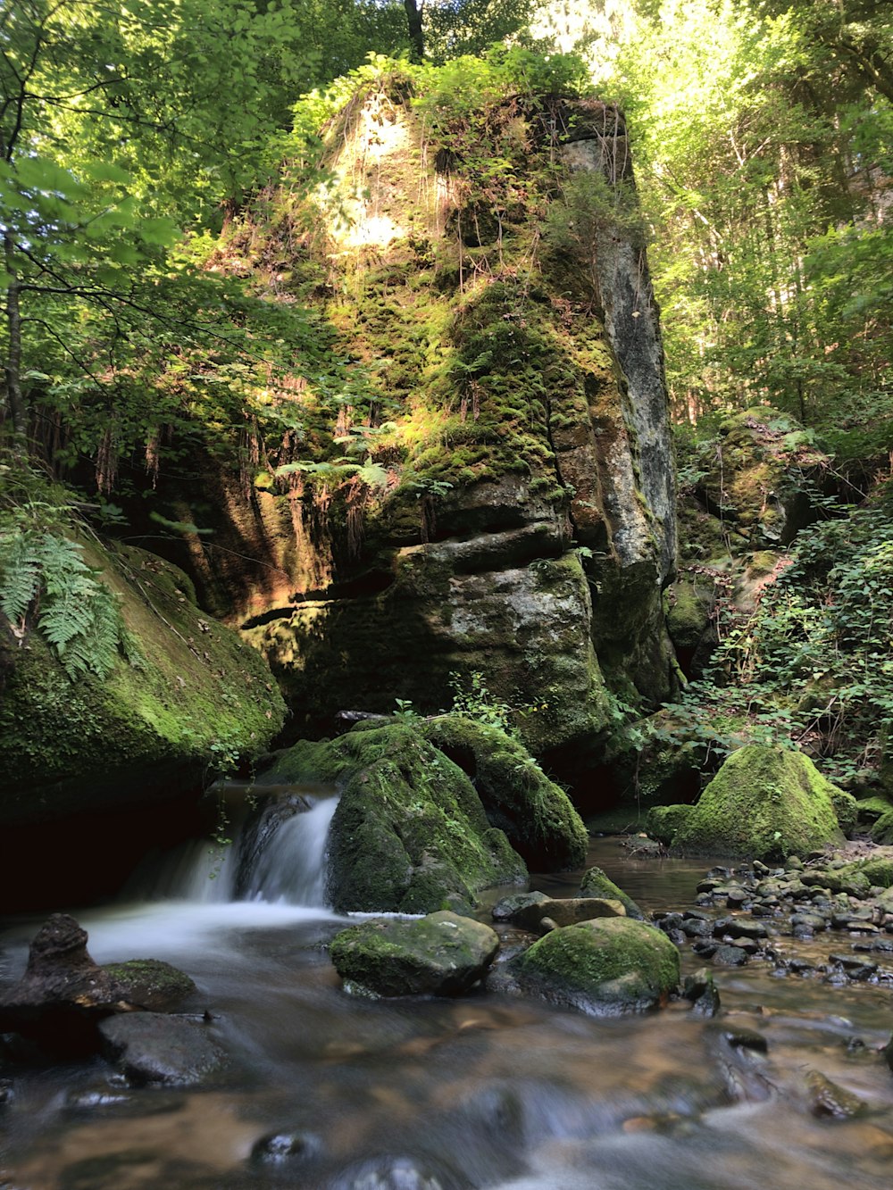 Wasserfall umgeben von Bäumen