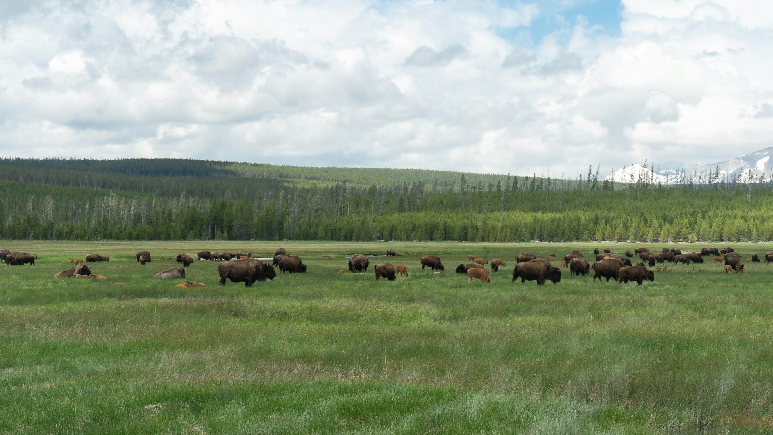 Challenges For Rotational Grazing Practice: Views From Non-Adopters Across the Great Plains, USA
