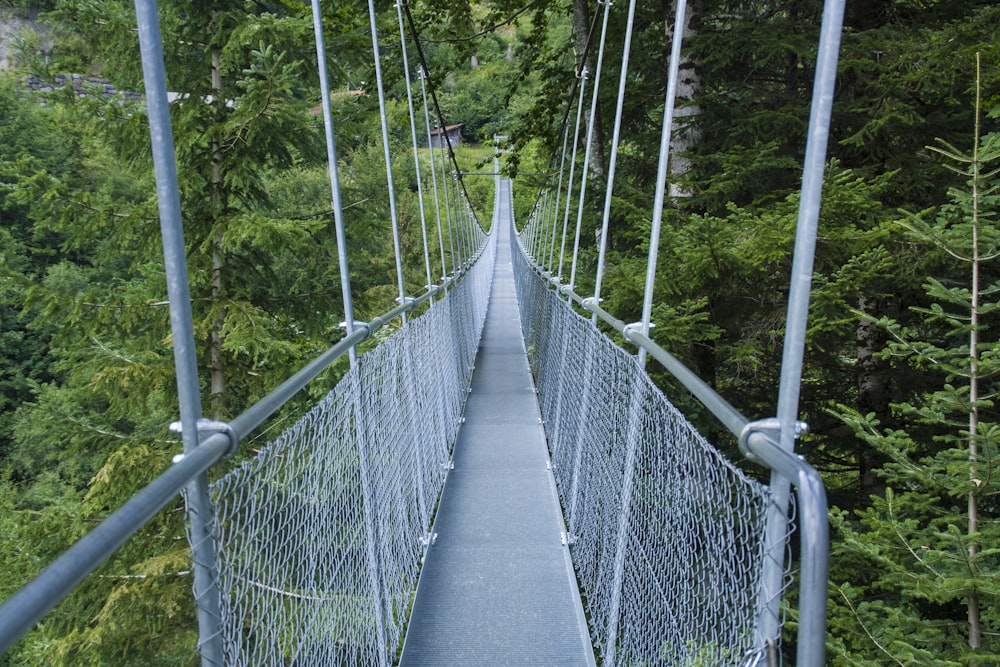 gray steel footbridge surrounded with tall and green trees during daytime