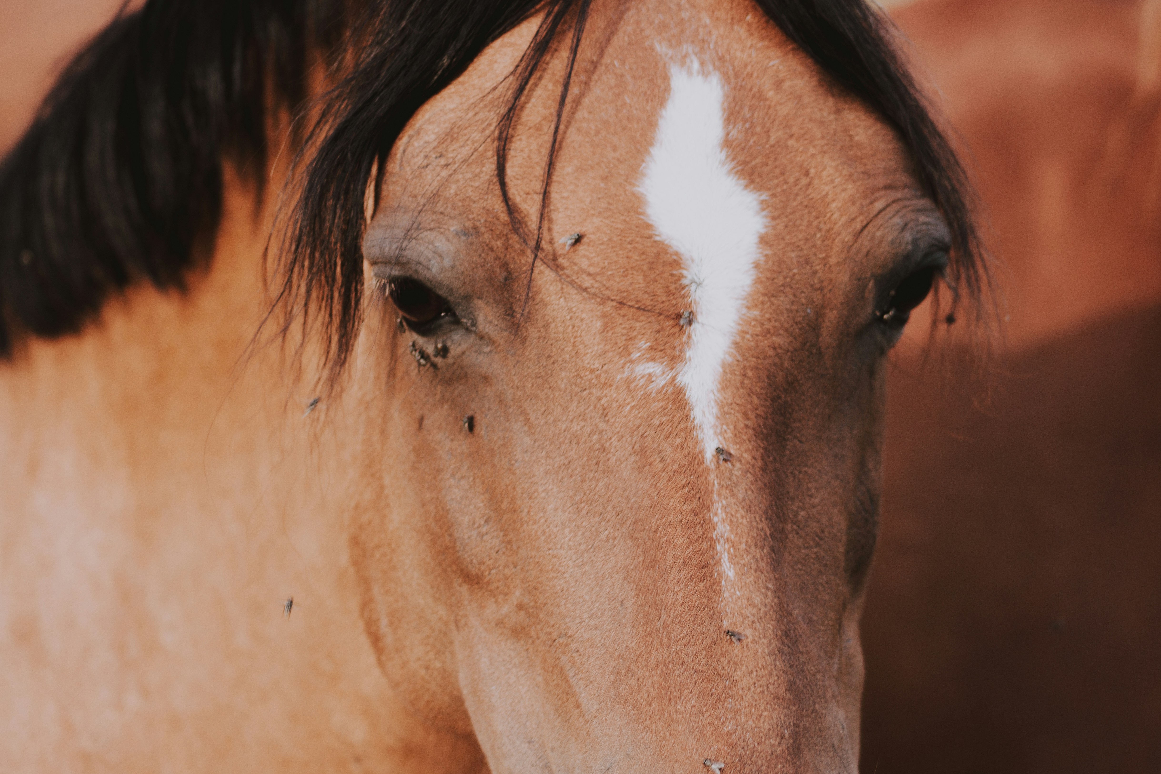 Temperature Regulation That Works Like a Liquid Cooling System (image credits: unsplash)