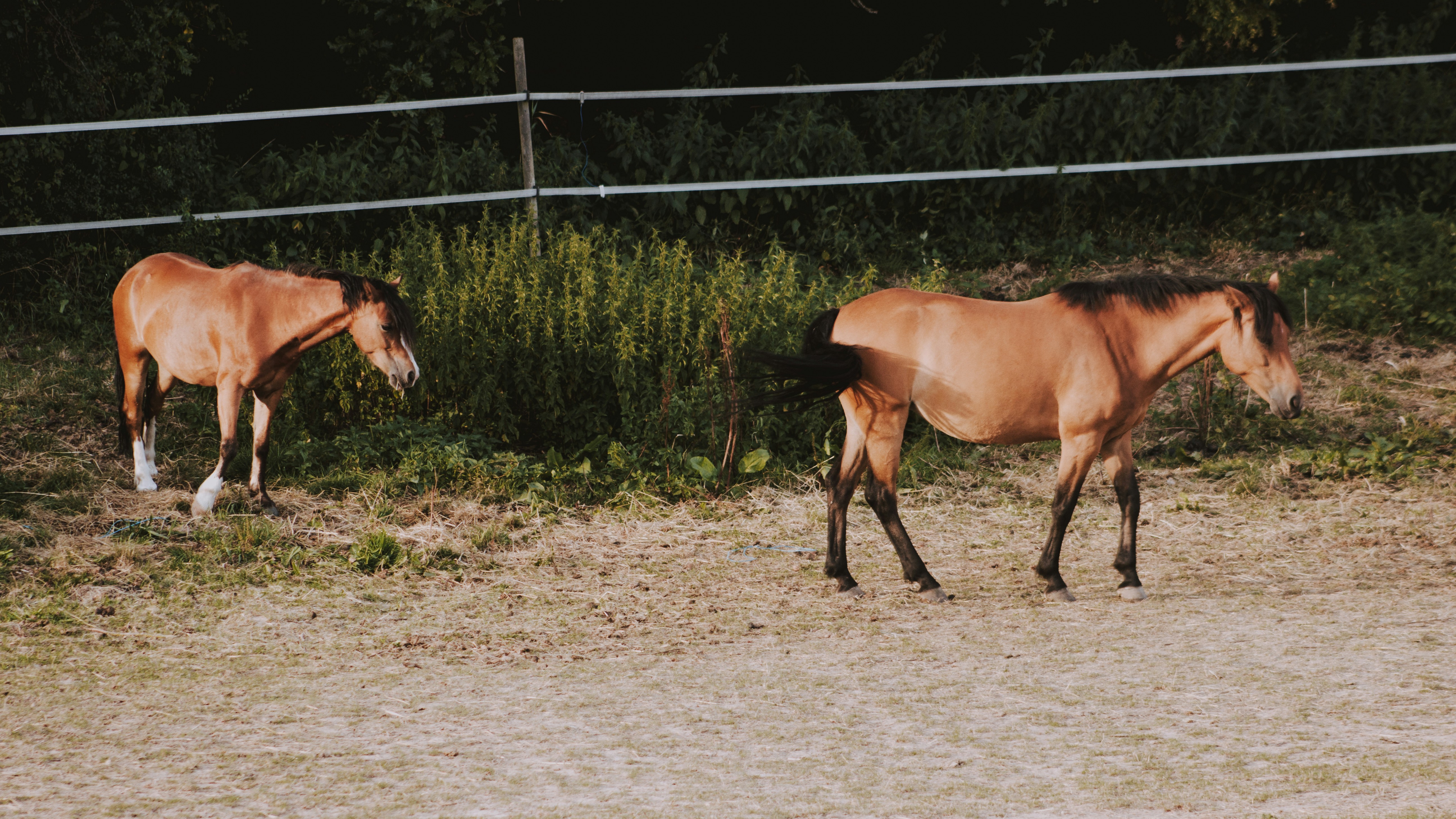 Photo by matreding
