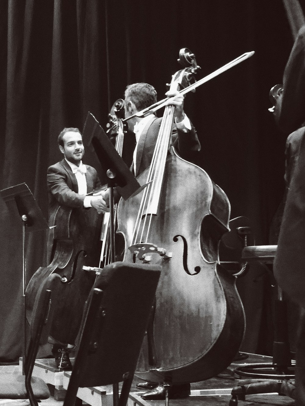 person playing string instrument