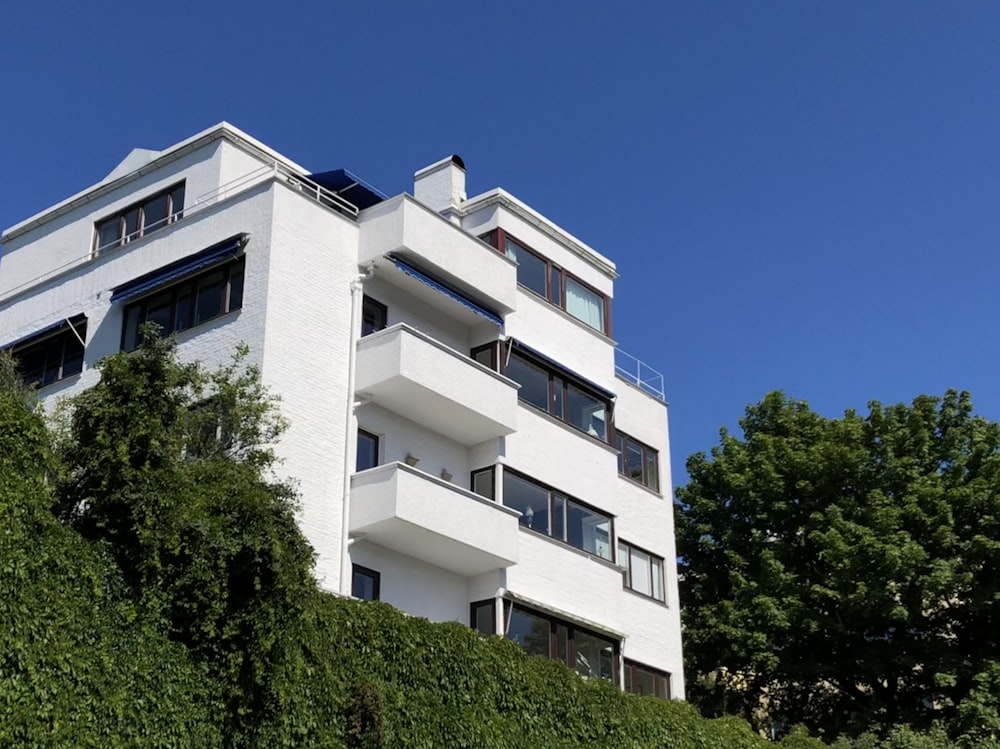 white cement building