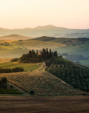 Sunset over the rolling hills of Tuscany with vineyards and cypress trees