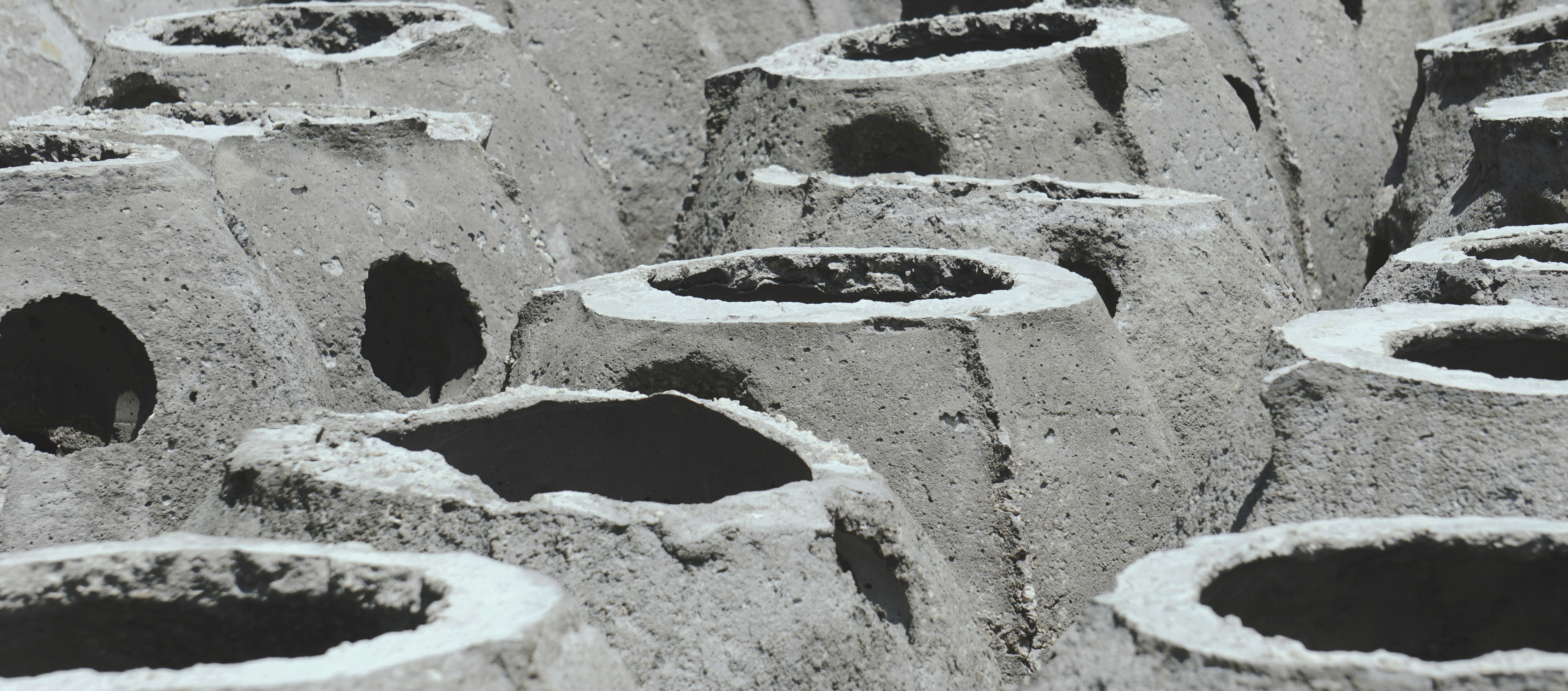 Oyster Domes - Tampa Bay Watch - Photographer: Joe Whalen