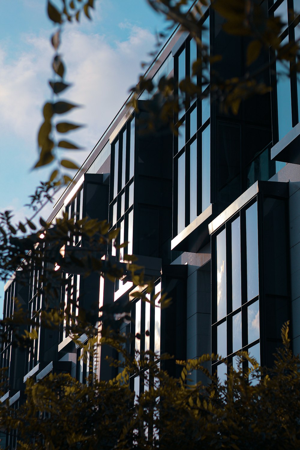 blue building during daytime