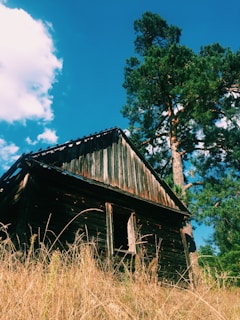 A rustic off-grid cabin nestled among desert sagebrush under a wide blue sky.