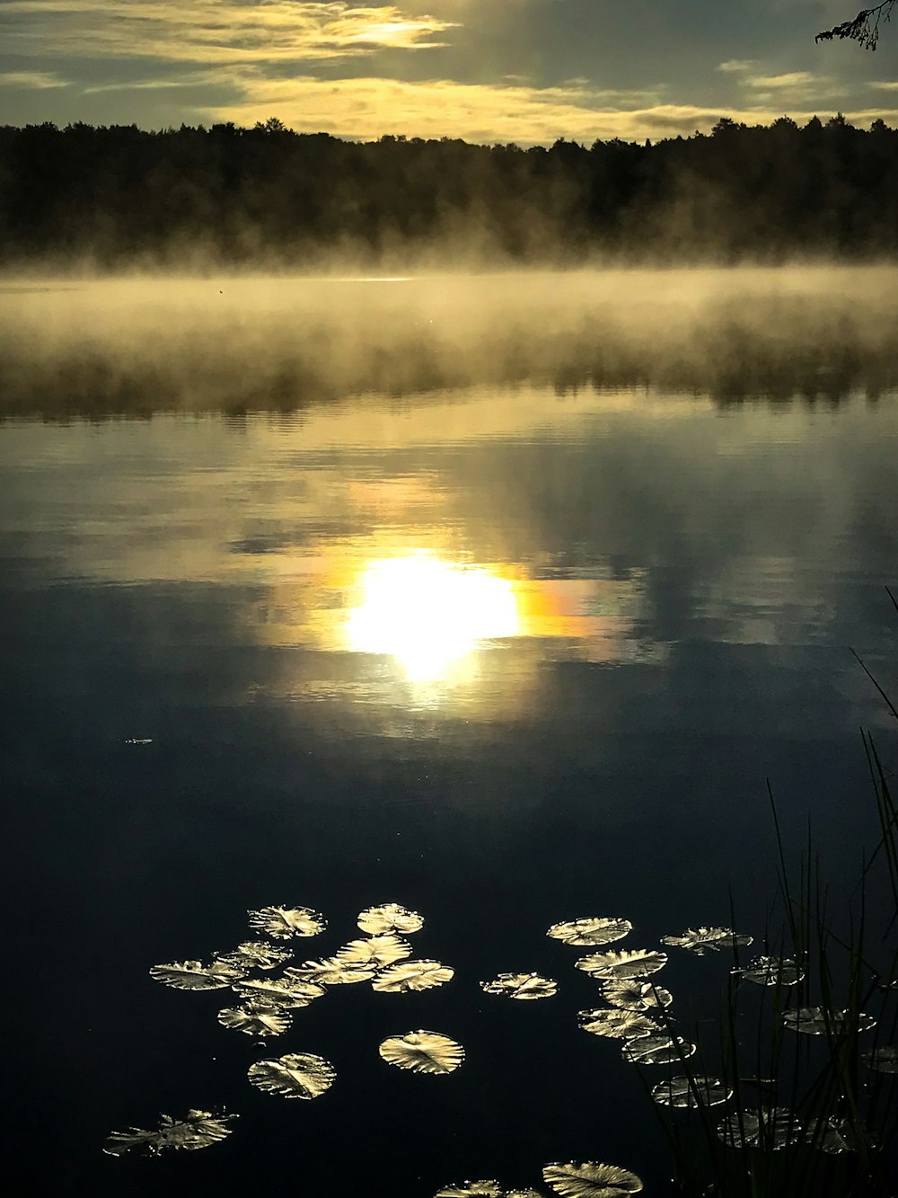 specchio d'acqua con riflessi di sole