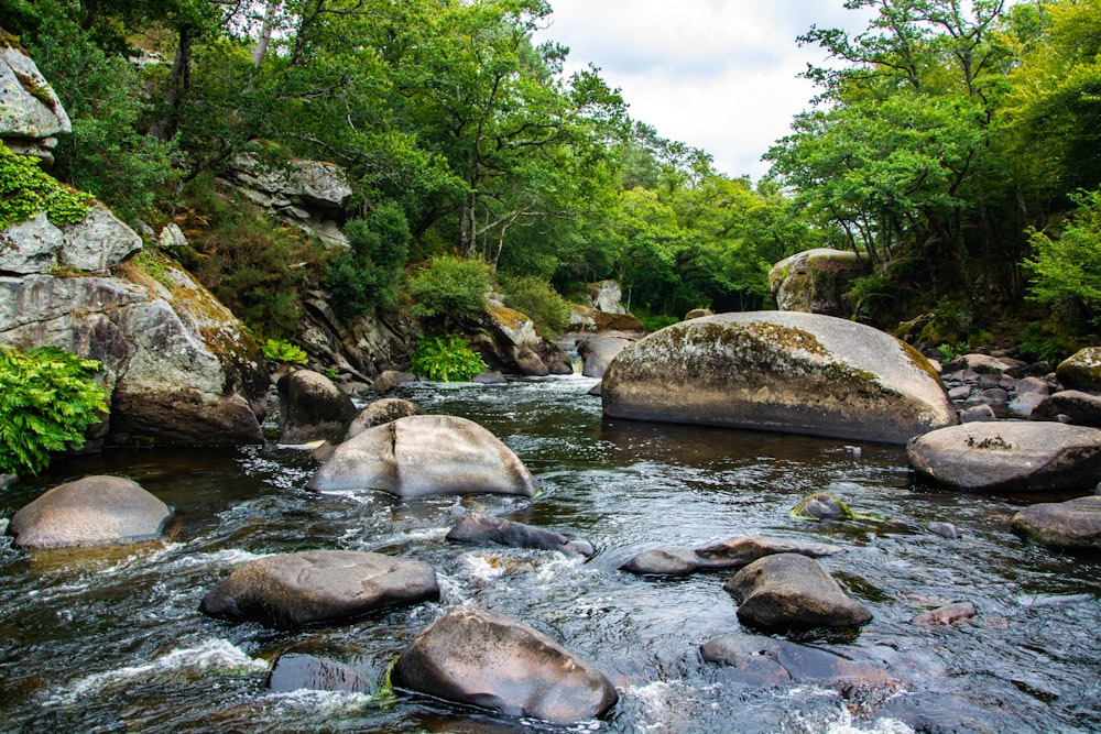 gray stones river