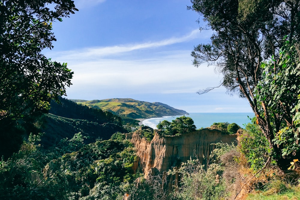 aerial view of trees on hill