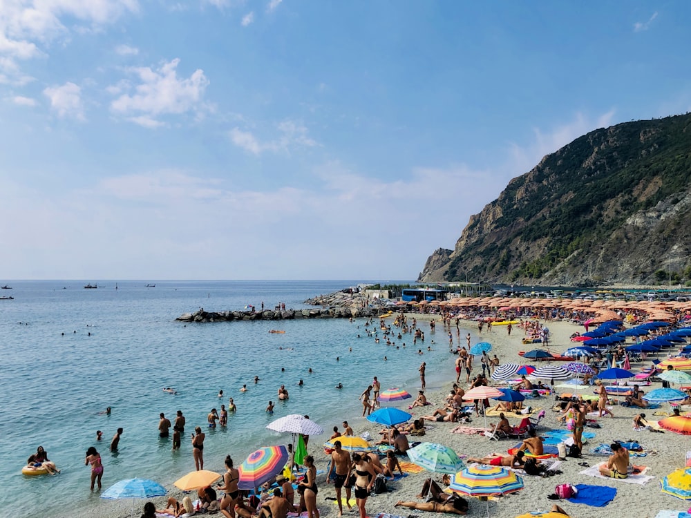 people on beach during daytime