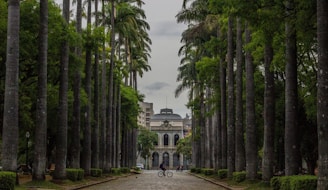 white and gray stone building