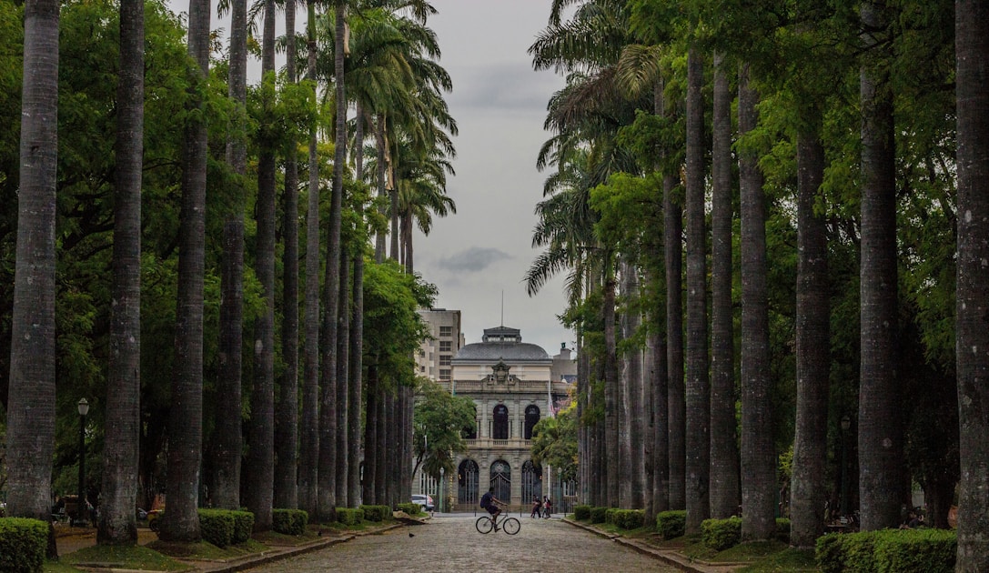 Descubra como fotos profissionais no Airbnb aumentam reservas em 40% e receita em 24%. Guia completo com técnicas práticas, equipamentos necessários e erros que custam R$2.000/mês em reservas perdidas.