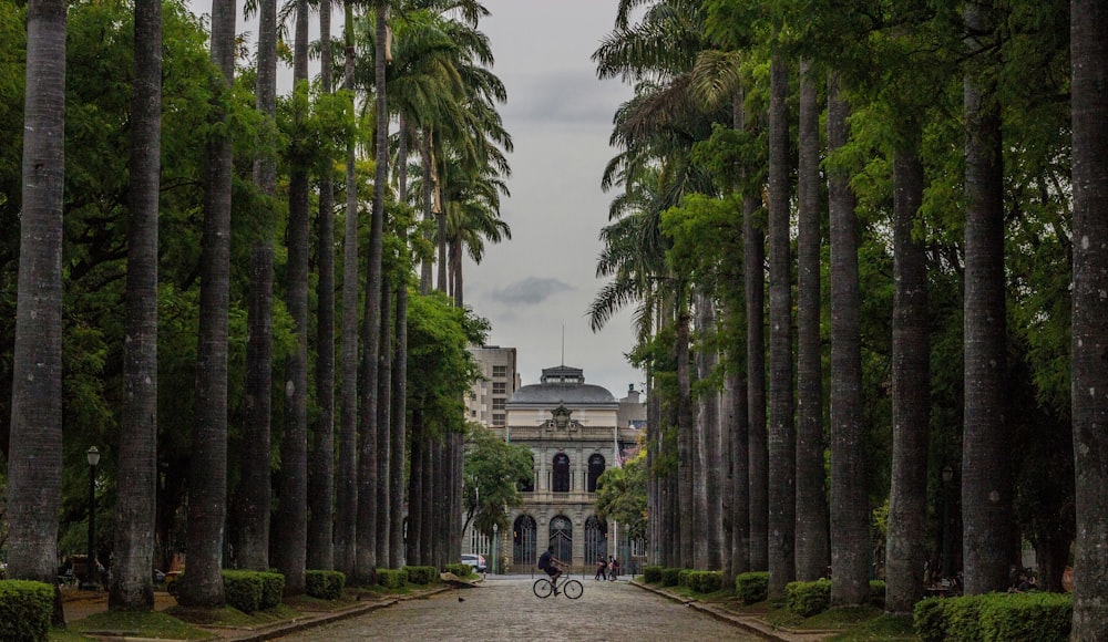 Edificio de piedra blanca y gris