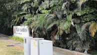 A lush garden setting with dense, green tropical foliage. A sign reading 'Tulip Garden' is partially visible amidst the greenery. In the foreground, there are three utility boxes on a paved sidewalk, and the surrounding area appears well-maintained.