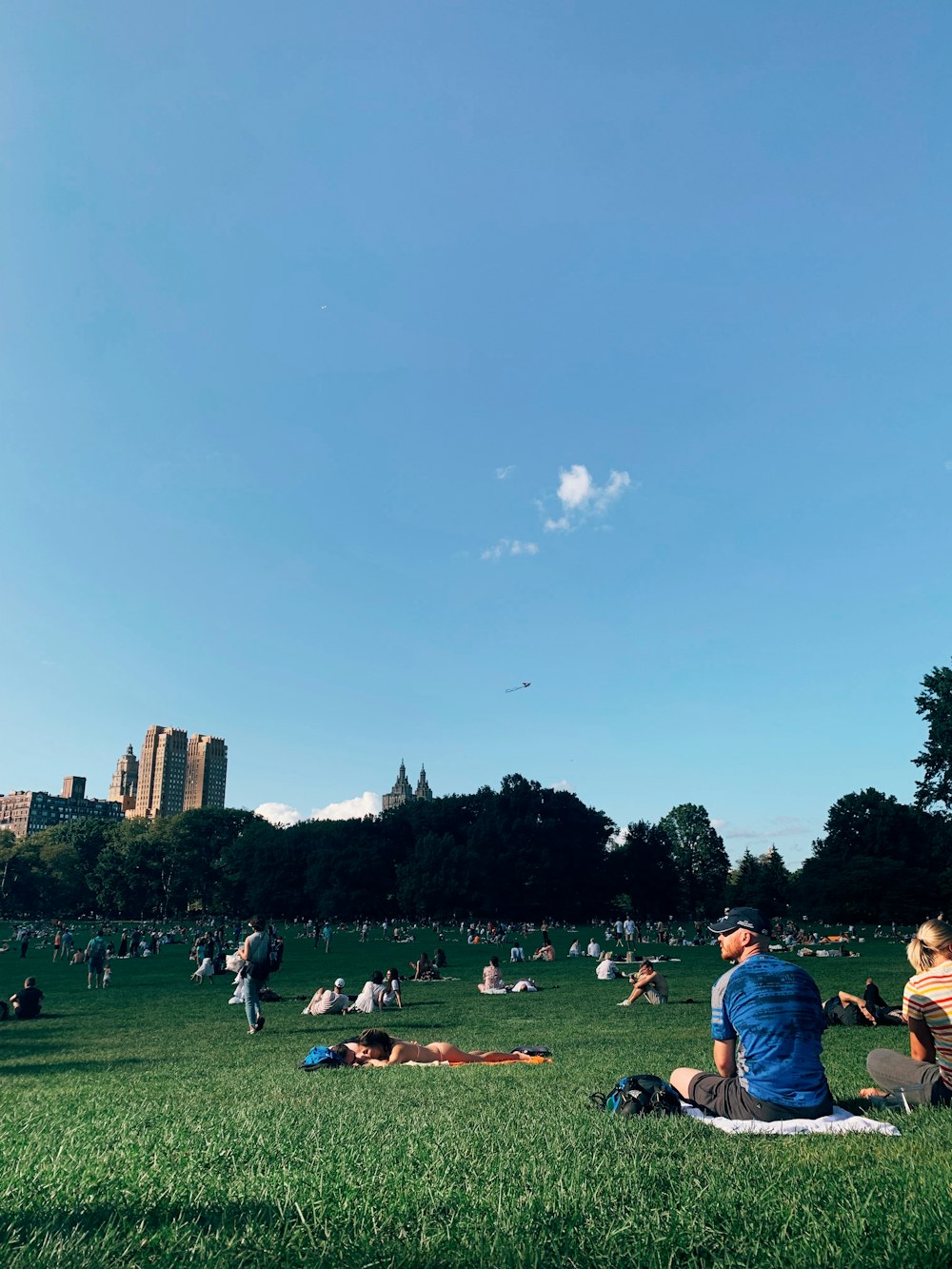 people in parked having picnic during daytime