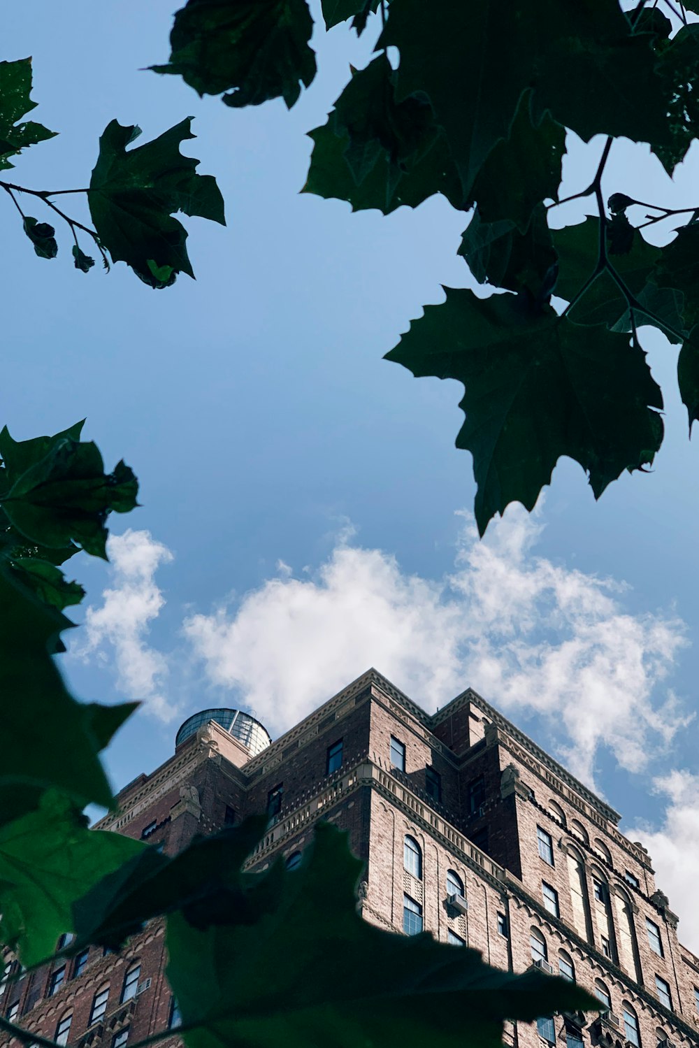 low angle photo of building