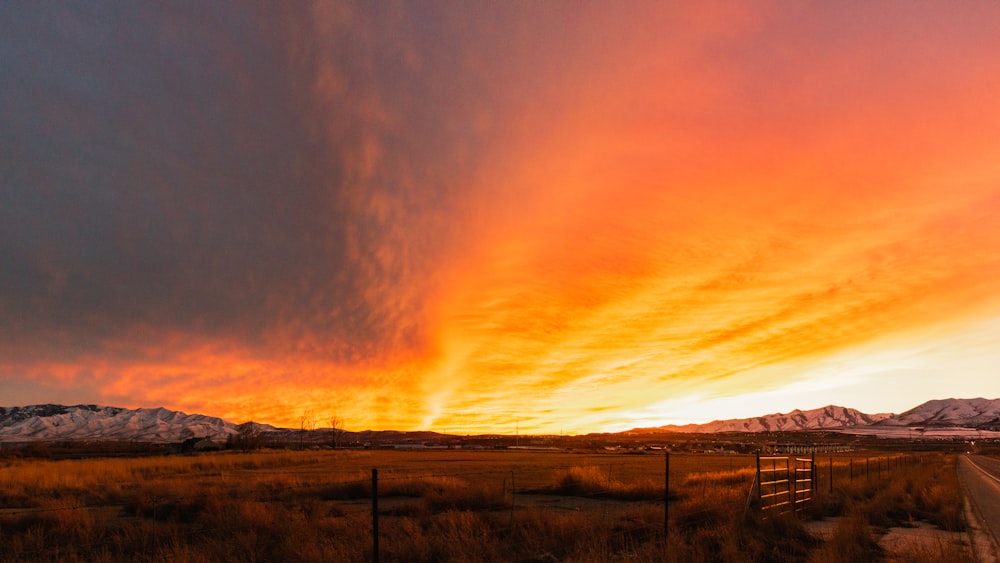 grass field under orange sky