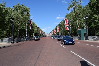 vehicles in road surrounded by trees and flags during daytime