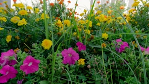 A vibrant Sims garden party with colorful decorations and joyful Sims.