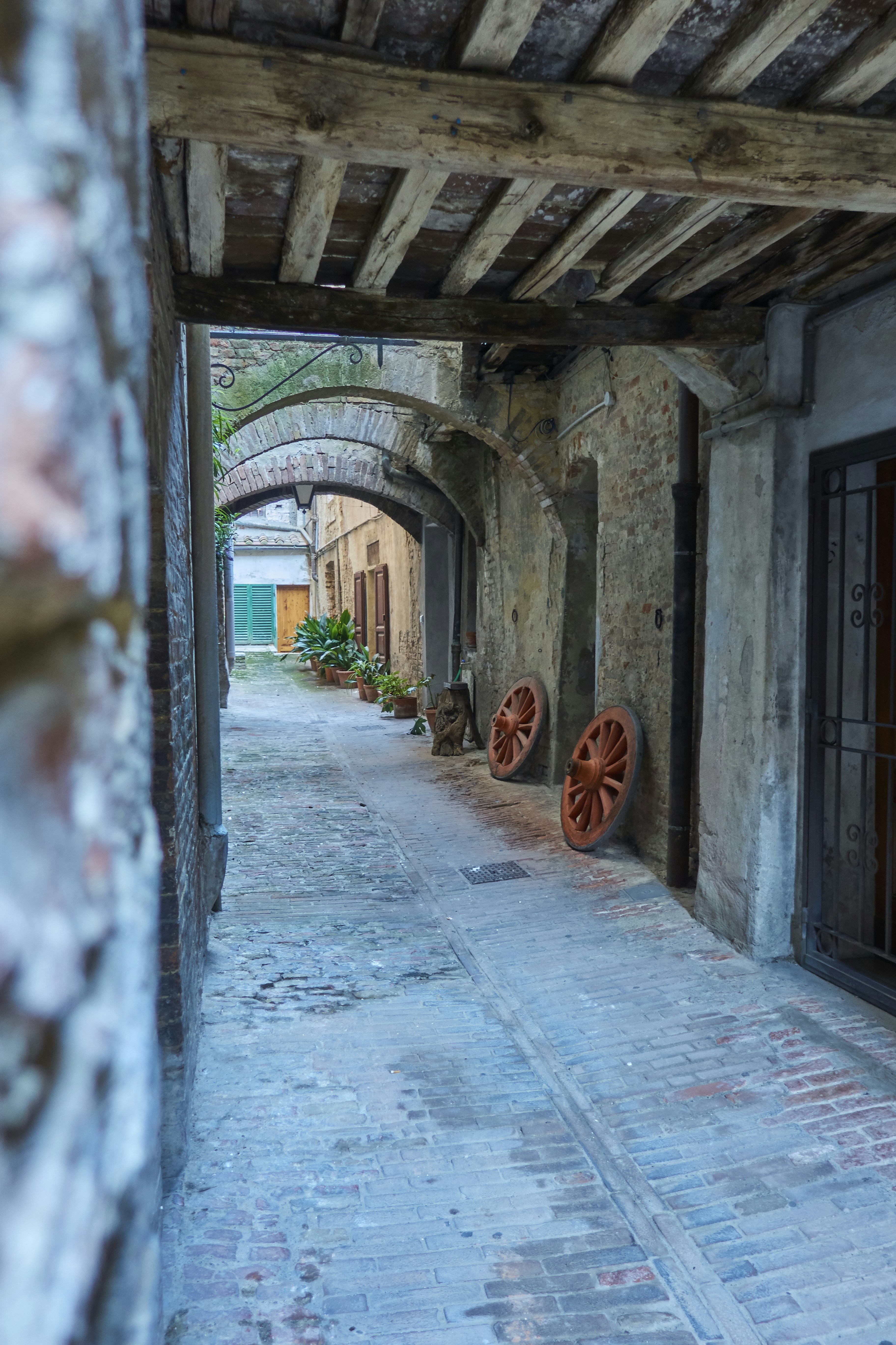 Photo by wolfgang_hasselmann