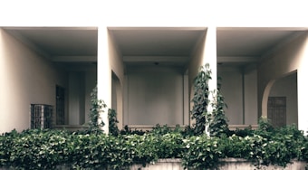An architectural structure features three open archways with a flat roof. Climbing plants and greenery grow at the base and around the columns, creating a lush, verdant environment. There's a metal grille on the left wall and a door visible in the background, adding to the structural complexity.