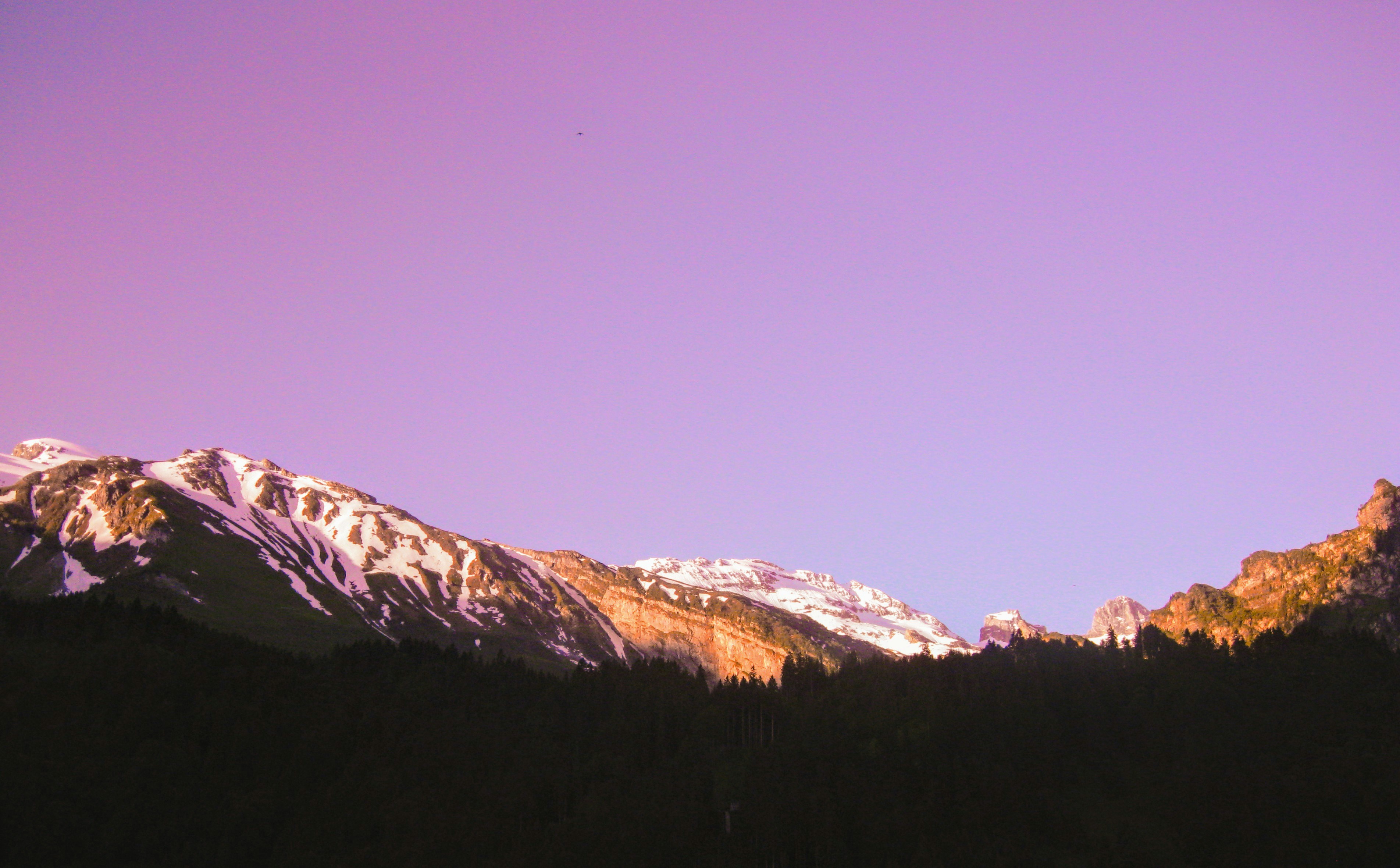 Photo by msohebzaidi