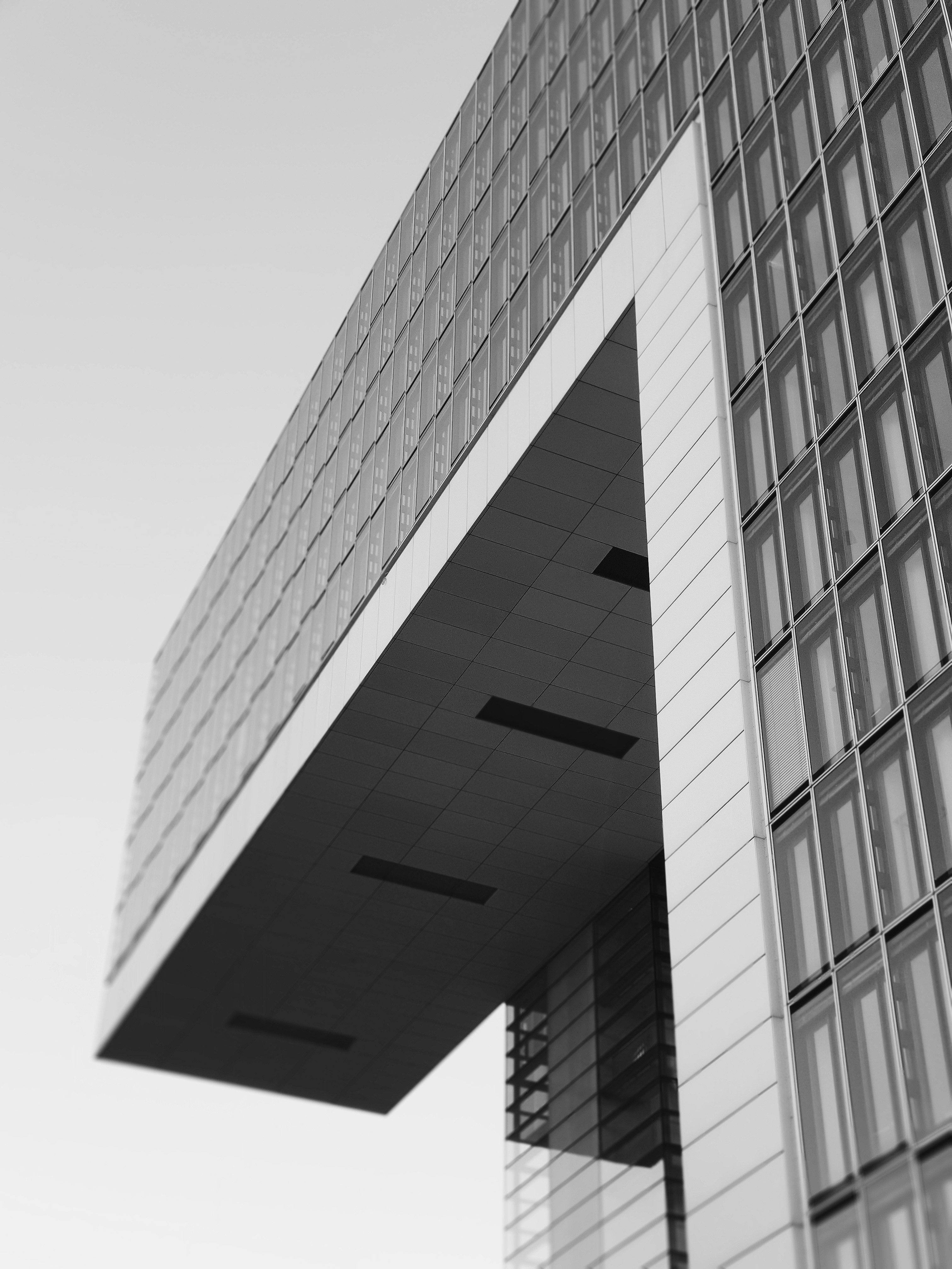 grayscale architectural photography of building