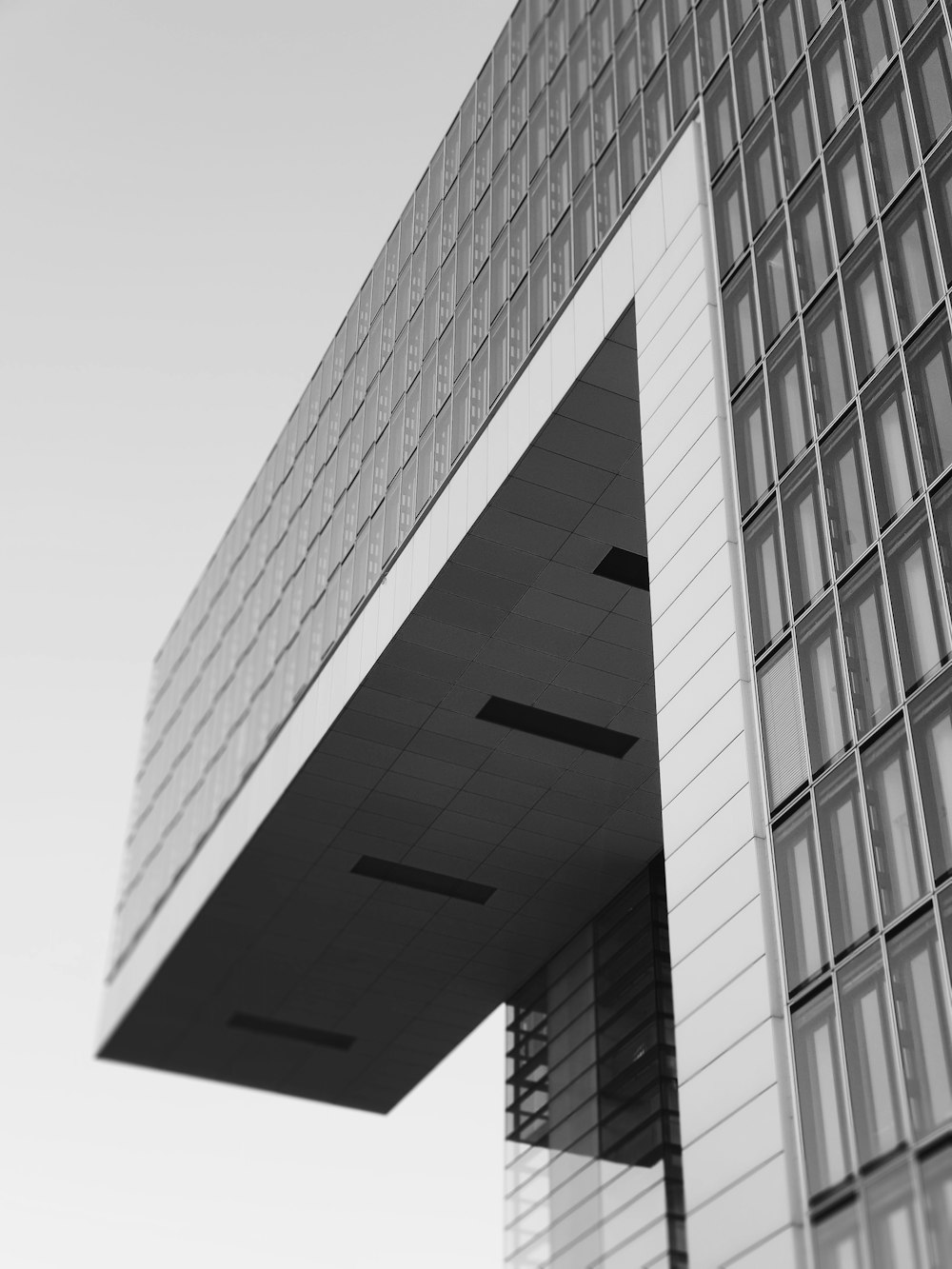 grayscale architectural photography of building