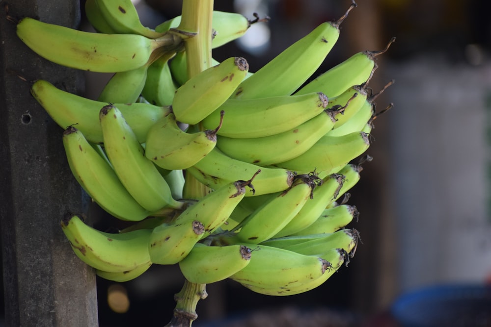 green banana fruit