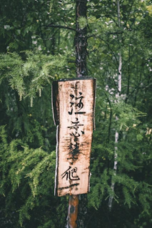A serene image of a wooden sign with the Balet Woods logo carved into it, set against a backdrop of lush greenery.