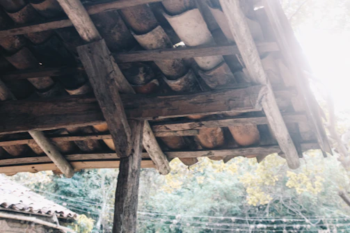 A freshly completed wooden roof structure glowing in the soft Bordeaux sunlight
