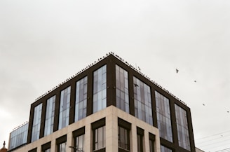 Wide shot of a commercial building protected by neatly installed bird nets.