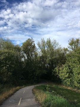 A winding path through dense forest under a cloudy sky, inviting adventure.
