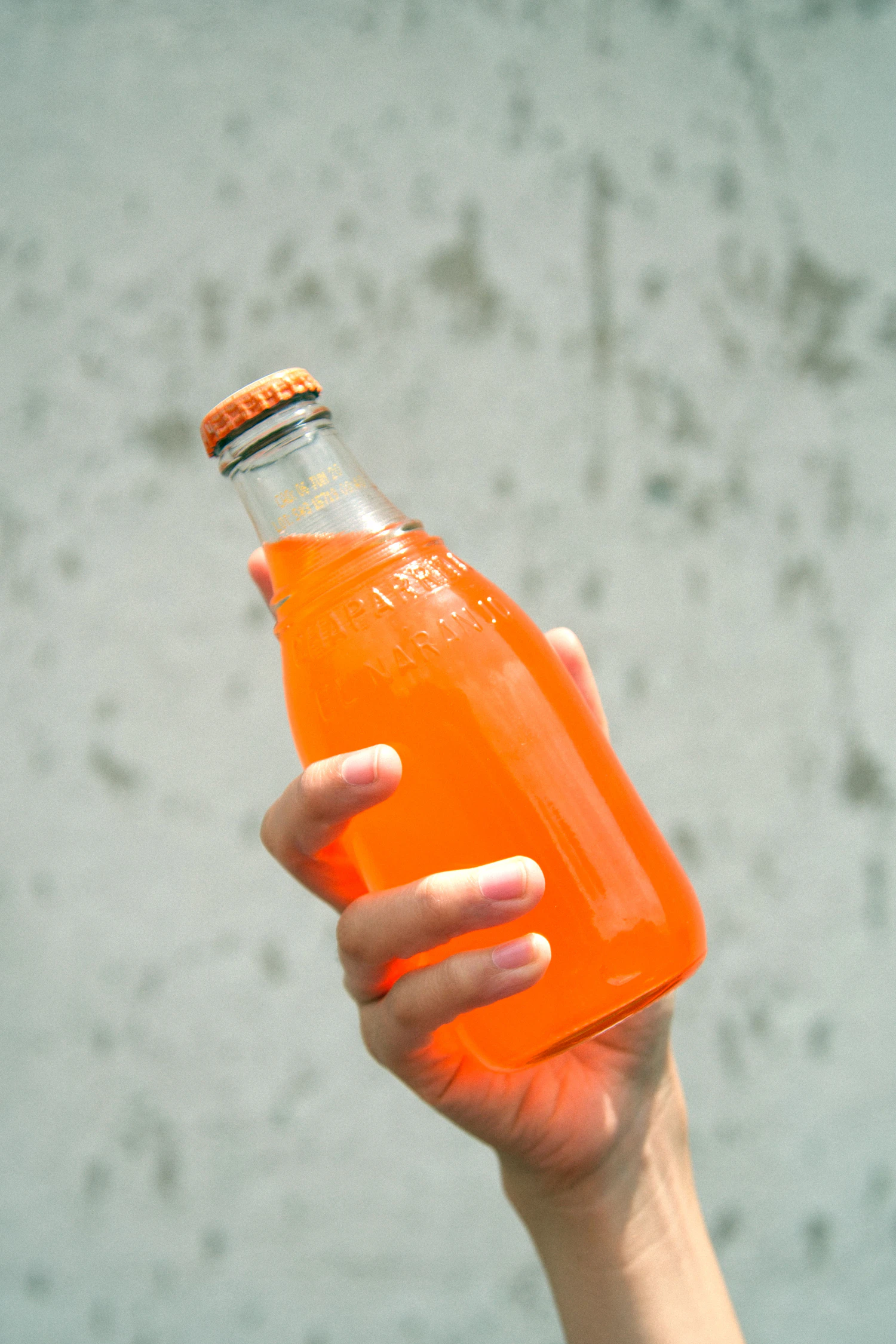 A hand holding up a glass bottle of orange cream soda against a pale wall