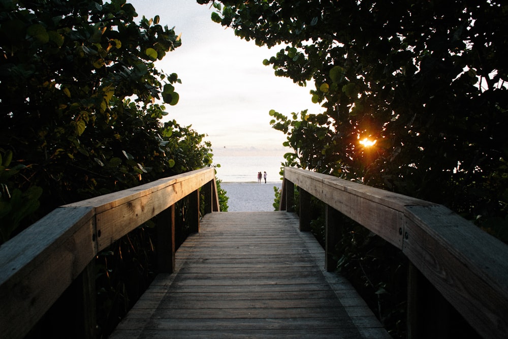 brown wooden walkway