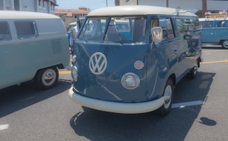 A lively outdoor meetup with classic Volkswagen Transporter T1 vans parked under blue skies.