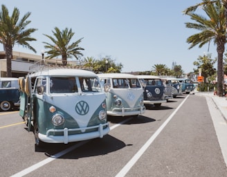 white and teal Volkswagen Samba