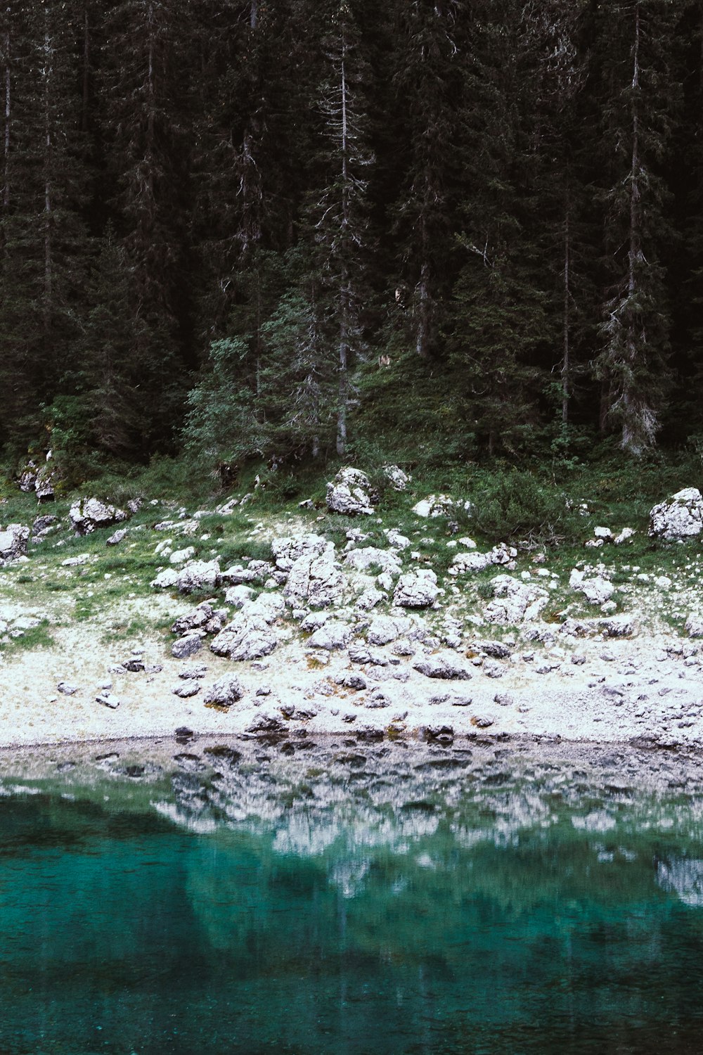 body of water during daytime