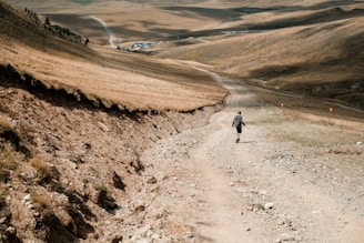 A lone traveler walks along a dusty, rugged path through a vast, barren landscape characterized by rolling hills and sparse vegetation. The scene is dominated by earthy tones, with the path winding away into the distance. Small structures or buildings are visible far away on the horizon, surrounded by arid terrain and scattered patches of grass.