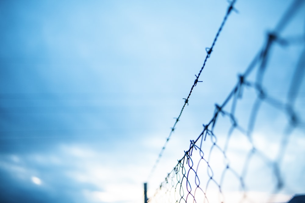 barbed wire