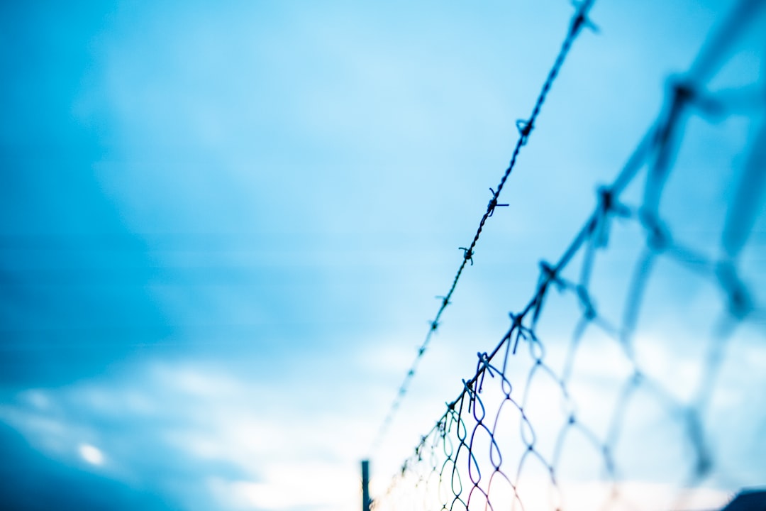 barbed wire