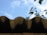 A close-up view of a wavy metal roof edge against a bright blue sky. In the background, blurred green leaves partially visible, adding a natural contrast.