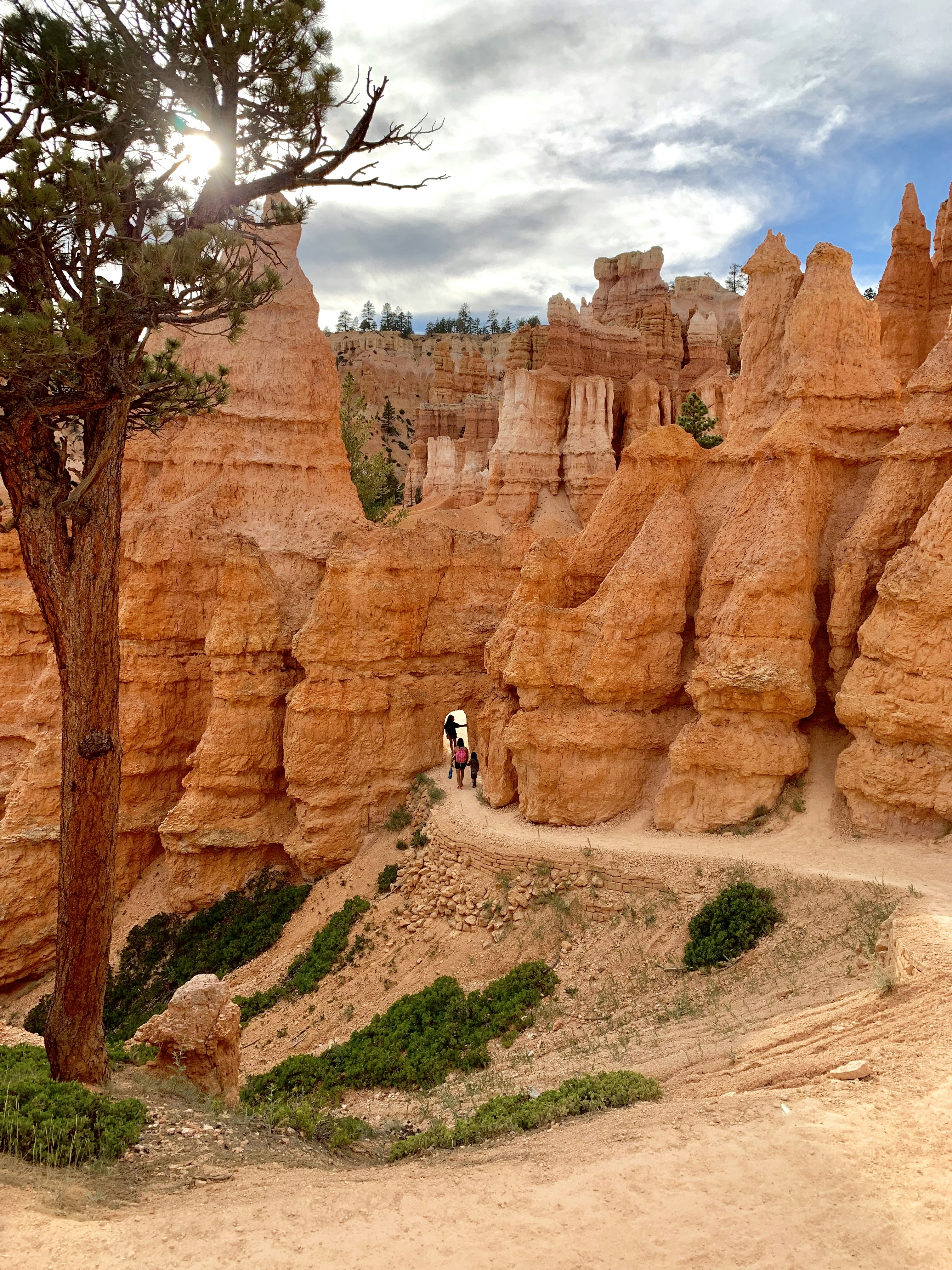 braune hohe Felsstrukturen